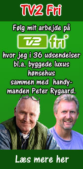 shemalewiki høns til salg nordsjælland shemalewiki høns til salg nordsjælland